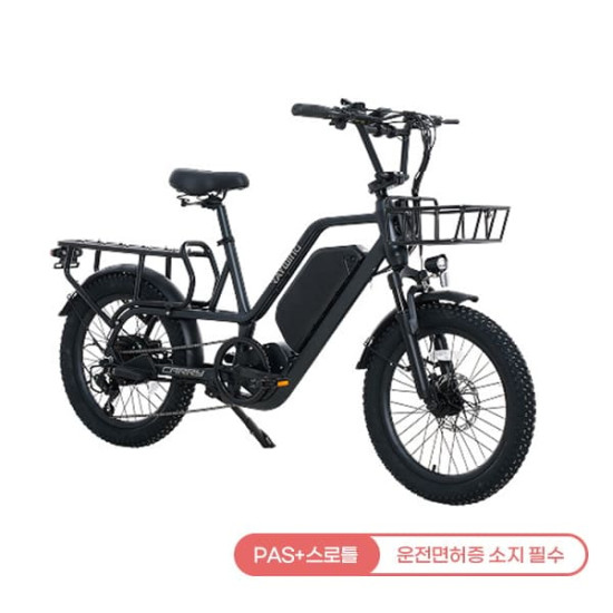 [레이윙] 캐리 전기자전거 CARRY_25A 팬텀블랙