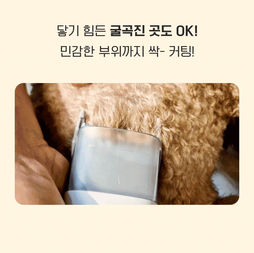 cr_dtl_1786363786_6622.gif