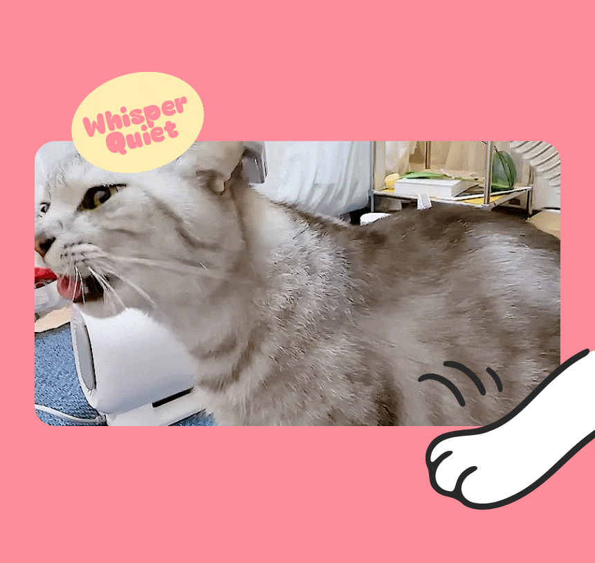 cr_dtl_1786363787_6245.gif