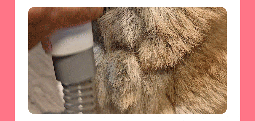 cr_dtl_1786363789_1576.gif