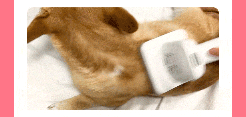 cr_dtl_1786363789_4508.gif