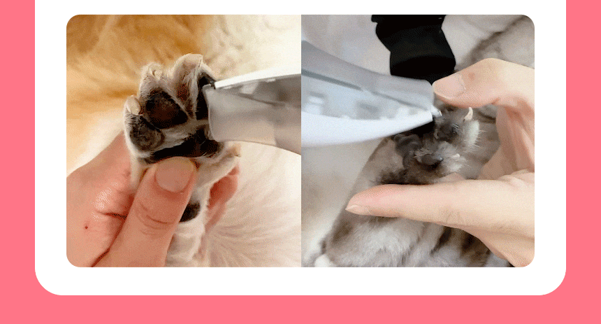 cr_dtl_1786363791_7064.gif