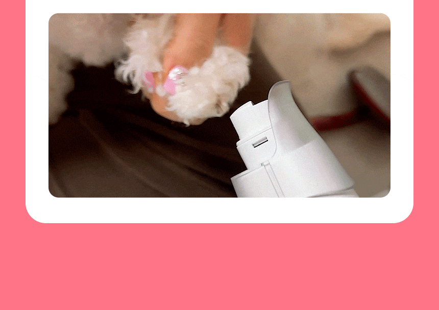 cr_dtl_1786363791_8188.gif
