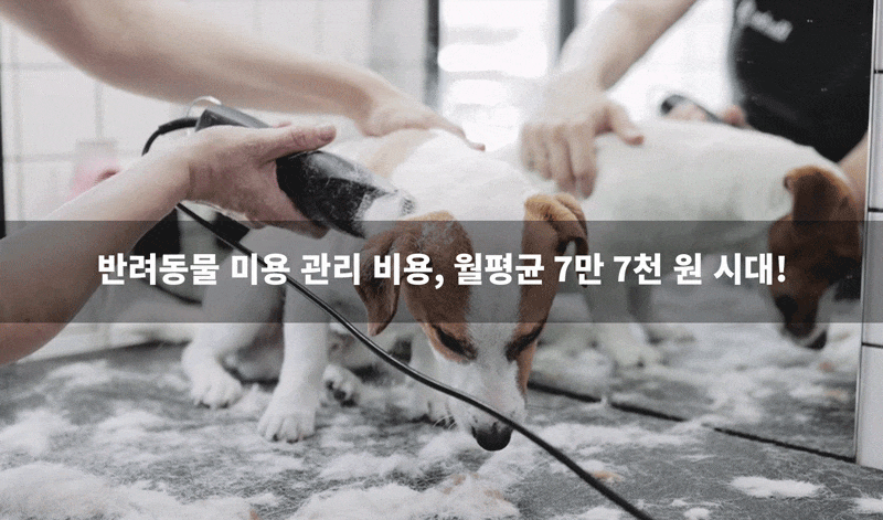 cr_dtl_1786399289_1237.gif