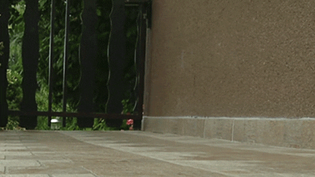cr_dtl_1786399289_3412.gif
