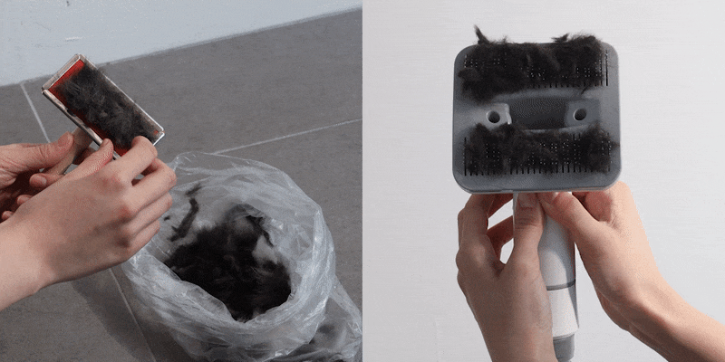 cr_dtl_1786399290_3280.gif