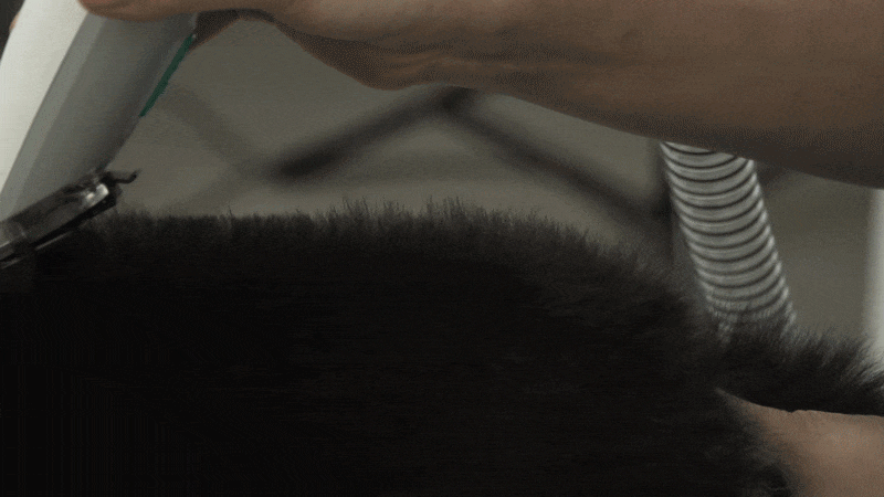 cr_dtl_1786399290_4687.gif