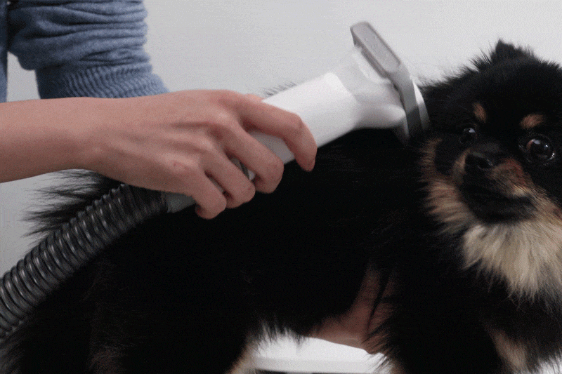 cr_dtl_1786399291_8304.gif