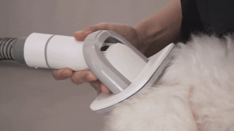 cr_dtl_1786399291_9543.gif