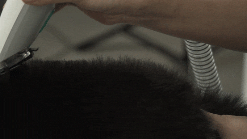 cr_dtl_1786399292_1640.gif
