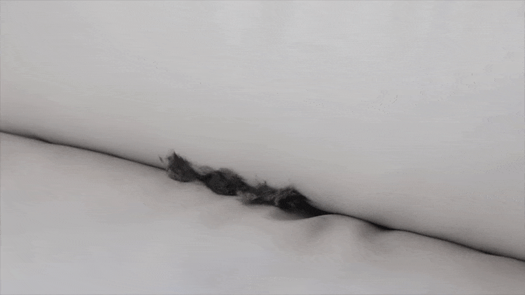 cr_dtl_1786399292_5444.gif