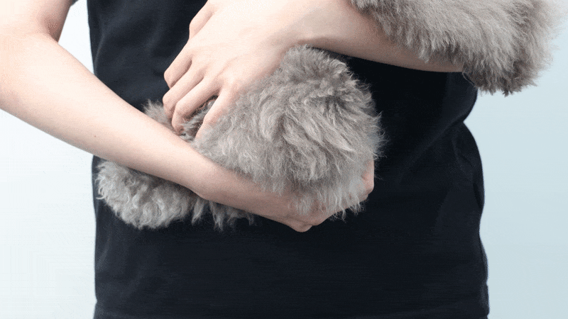 cr_dtl_1786399292_9148.gif