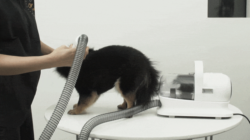 cr_dtl_1786399293_6852.gif