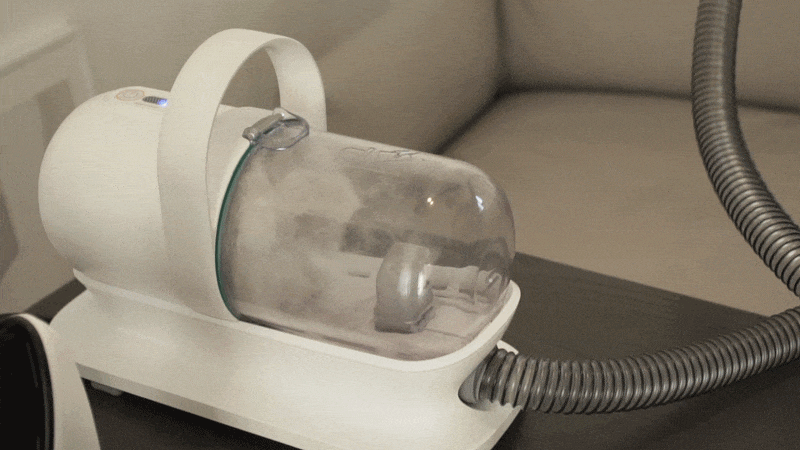 cr_dtl_1786399293_8754.gif
