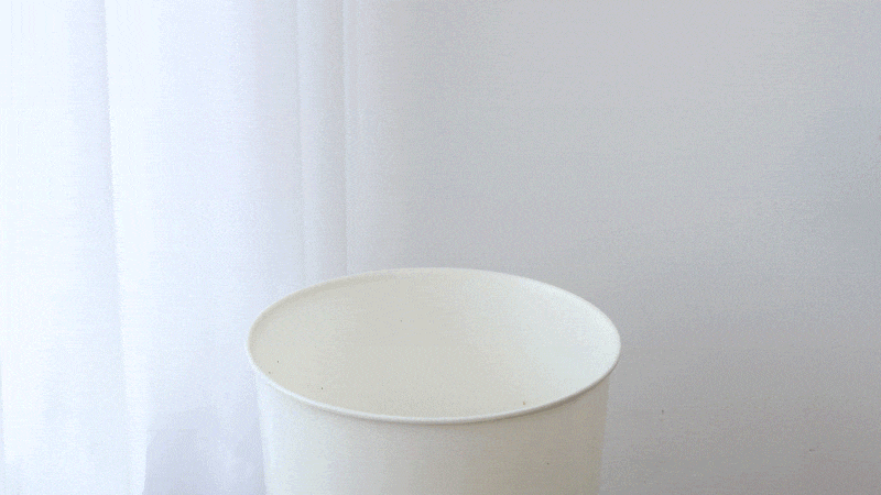 cr_dtl_1786399294_7138.gif