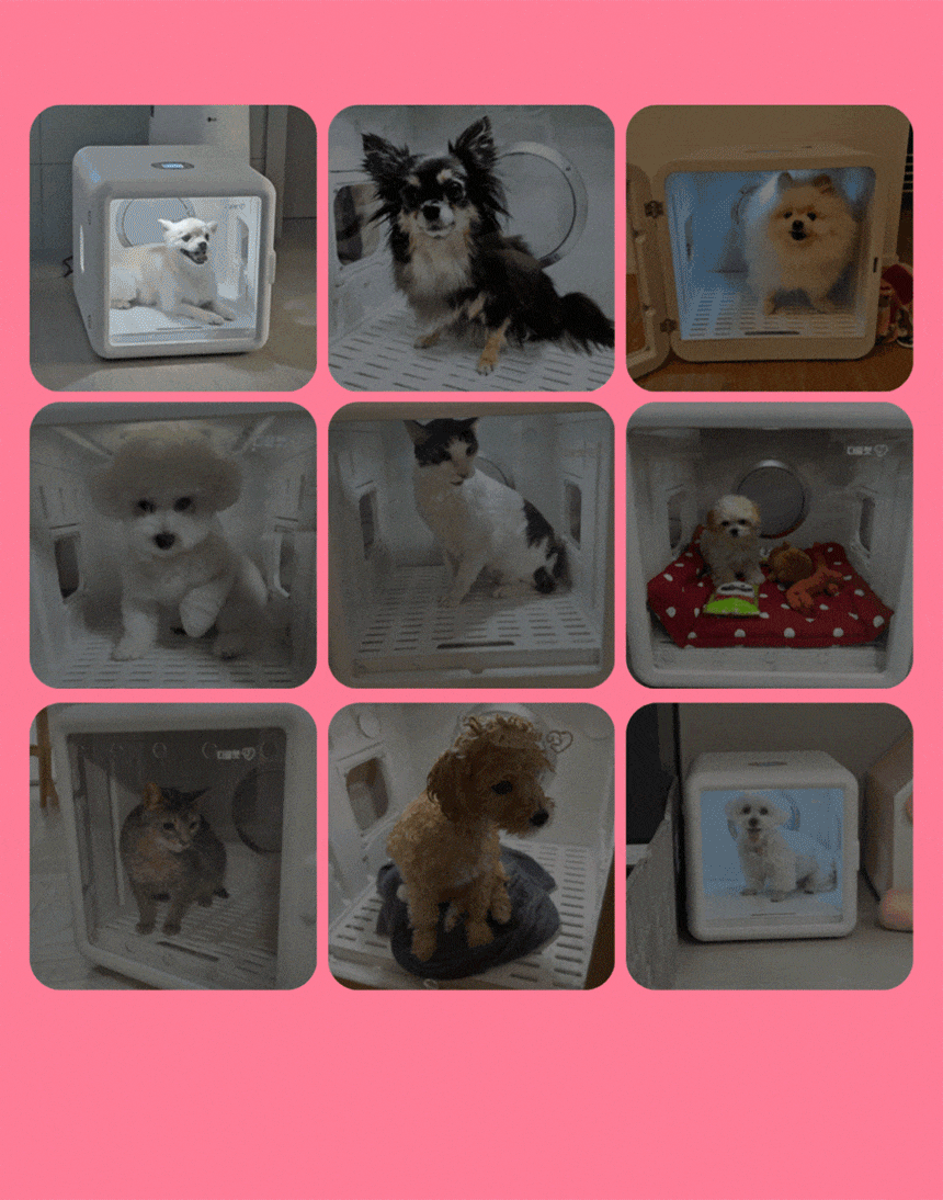 cr_dtl_1786399557_1398.gif