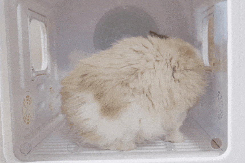 cr_dtl_1786399557_1591.gif