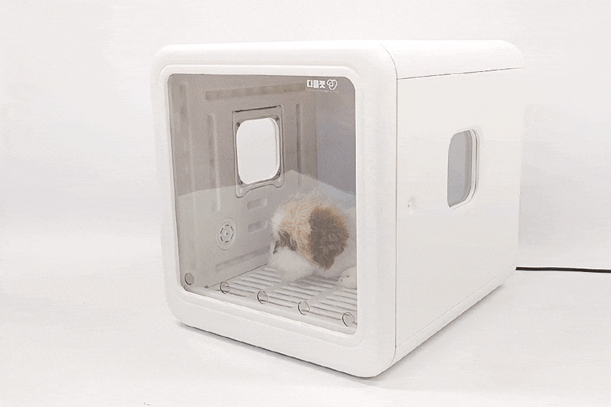 cr_dtl_1786399558_2608.gif