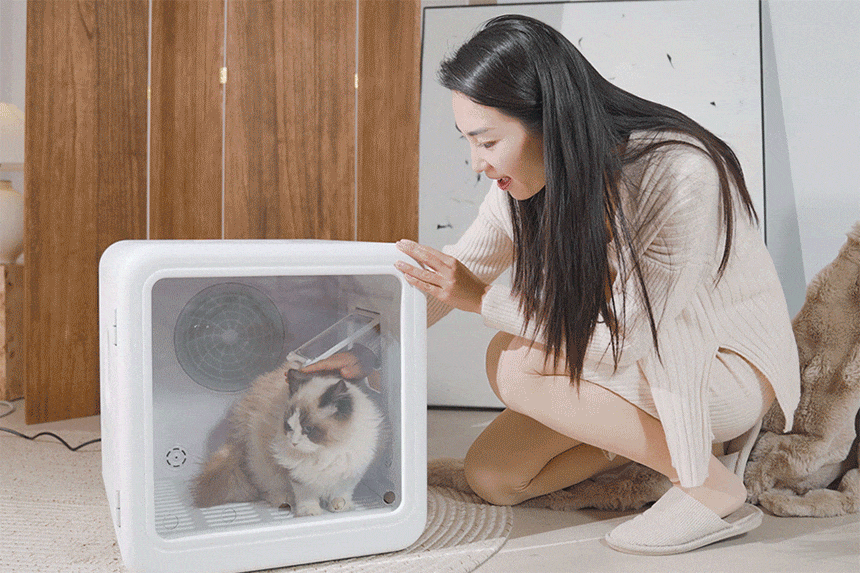 cr_dtl_1786399559_3423.gif