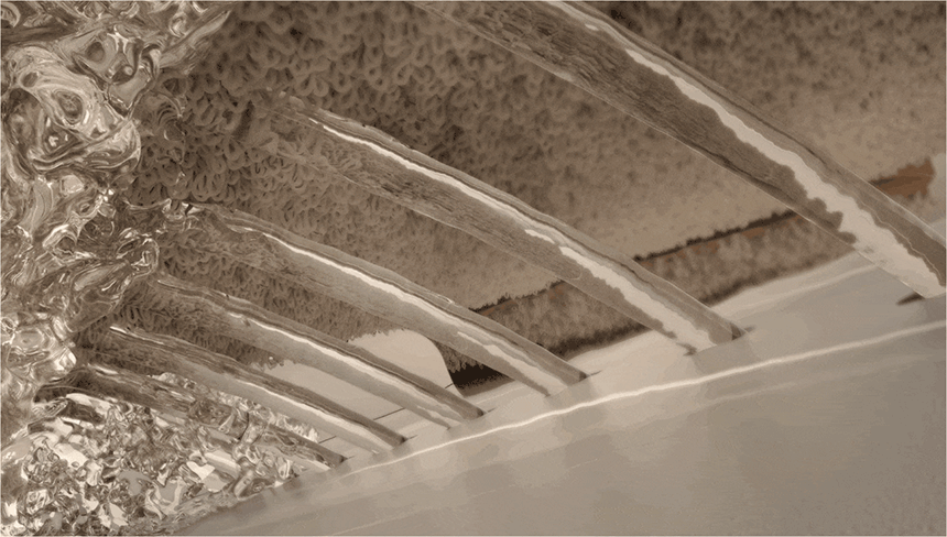 cr_dtl_1786399986_2511.gif