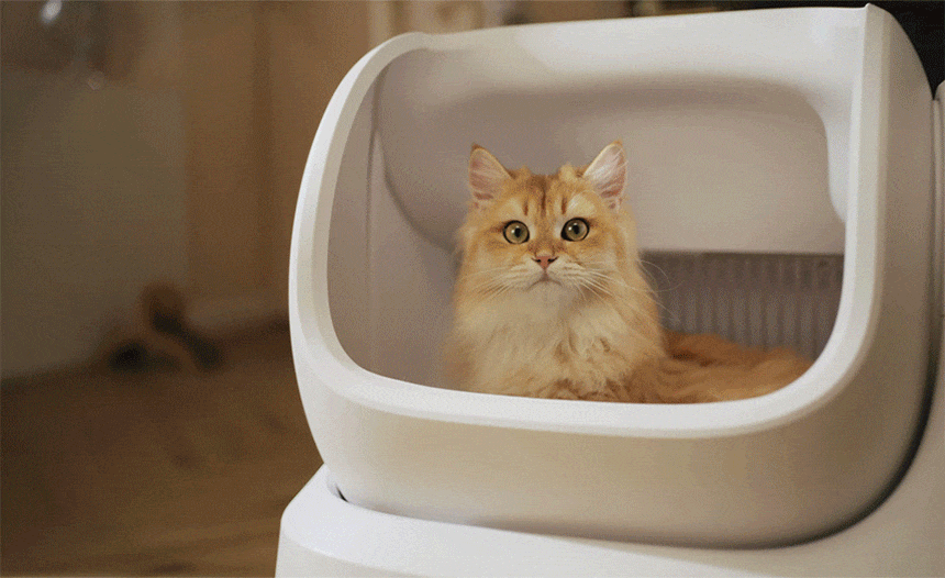 cr_dtl_1786425531_6265.gif