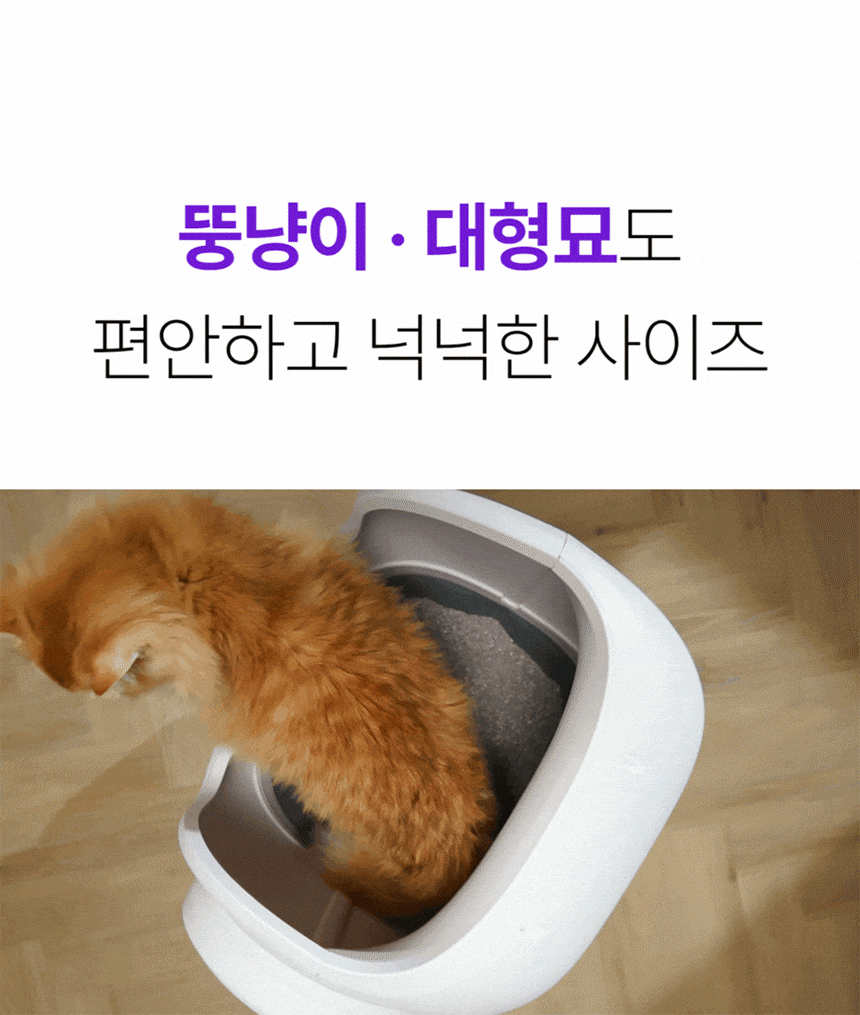 cr_dtl_1786425531_7654.gif