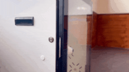 cr_dtl_1786426038_5185.gif