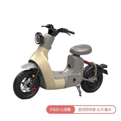 타입2 전동스쿠터 TYPE 2 24A (옐로우) 전기스쿠터렌탈